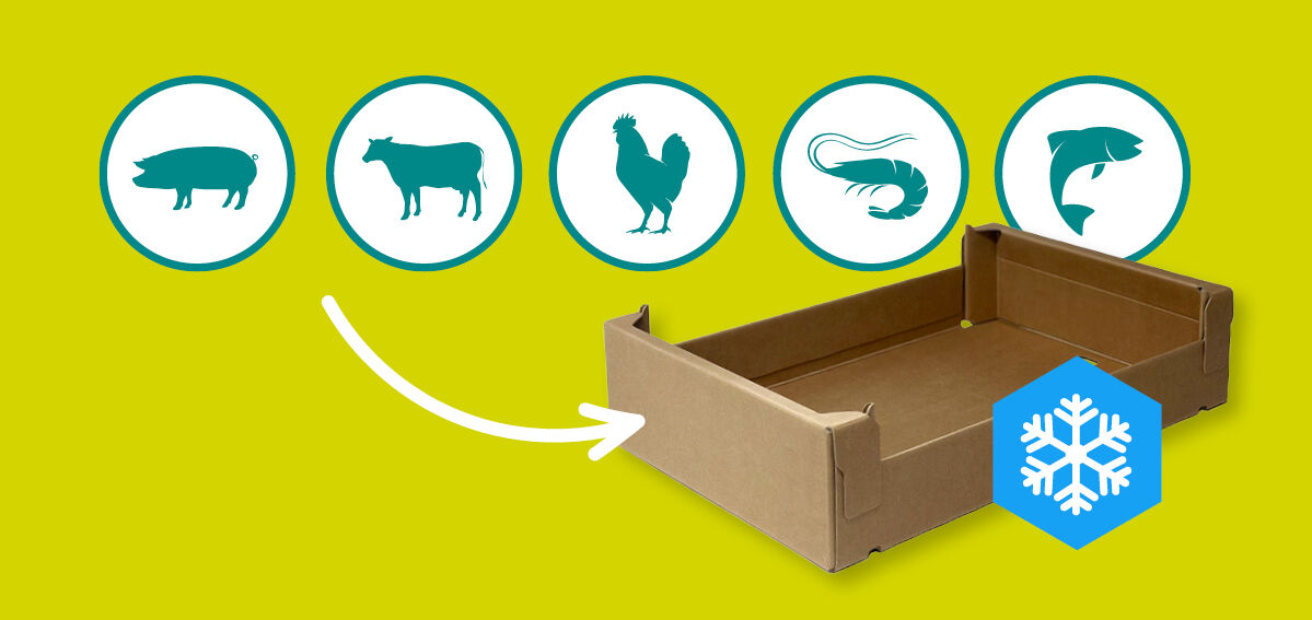 Frozen beeld 1200 px2